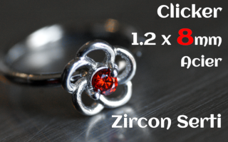 Clicker acier 1.2 x 8 - zircon serti - fleur