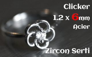 Clicker acier 1.2 x 6 - zircon serti - fleur