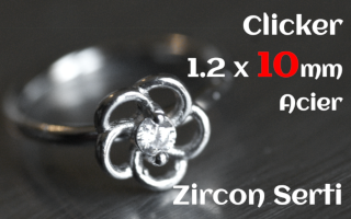 Clicker acier 1.2 x 10 - zircon serti - fleur