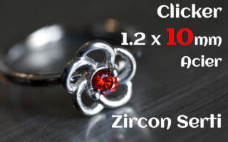 Clicker acier 1.2 x 10 - zircon serti - fleur