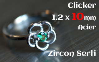 Clicker acier 1.2 x 10 - zircon serti - fleur