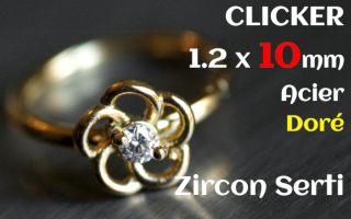 Clicker acier Dore 1.2 x 10 - zircon serti - fleur