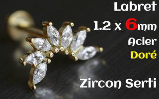 labret 1.2 x 6 acier Dore- zircon serti