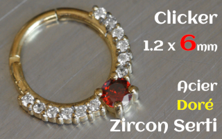 Clicker 1.2 x 6 Acier Dore- zircon serti
