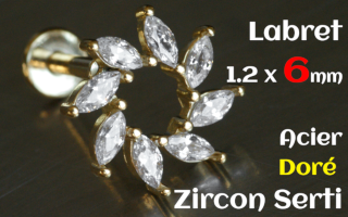 Labret 1.2 x 6 Acier Dore- zircon serti