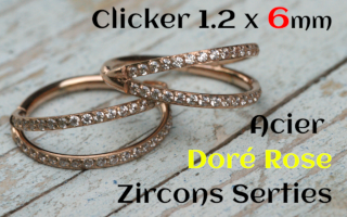 Clicker acier Dore Rose 1.2 x 6 - zircons sertis