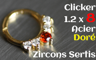 clicker 1.2 x 8 acier dore - zircons sertis
