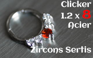 clicker 1.2 x 8 acier - zircons sertis