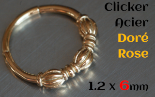 Clicker acier 1.2 x 6 mm Dore Rose