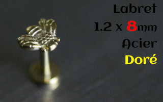 Labret Acier Dore 1.2 x 8 - abeille - vissage interne