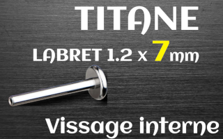 bases labret 1.2 x 7 - titane grade 23 - vissage interne - disque de base 4 mm