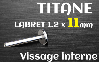 bases labret 1.2 x 11 - titane grade 23 - vissage interne - disque de base 4 mm