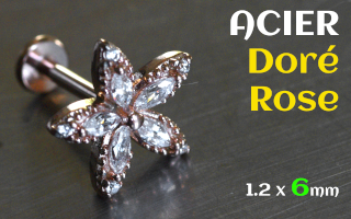 Labret 1.2 x 6 - Acier Dore rose