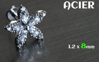 Labret 1.2 x 8 - Acier