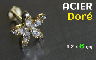 Labret 1.2 x 8 - Acier Dore