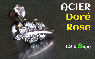Labret 1.2 x 8 - Acier Dore rose