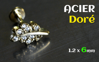 Labret 1.2 x 6 - Acier Dore
