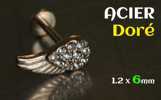 Labret 1.2 x 6 - Acier Dore