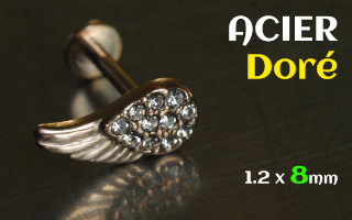 Labret 1.2 x 8 - Acier Dore