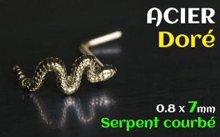 nose studs 0.8 x 7 - Acier Dore - serpent courbe