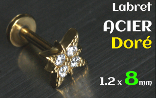 Labre acier dore 1.2 x 8