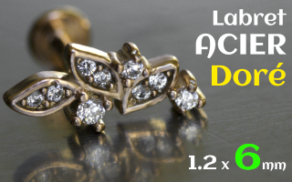 Labret 1.2 x 6 - acier Dore -
