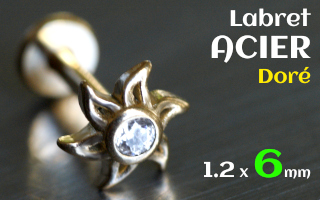 Labret 1.2x6 Acier dore - soleil