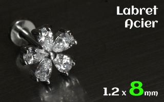 Labret 1.2 x 8 Acier