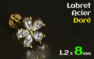 Labret 1.2 x 8 Acier Dore