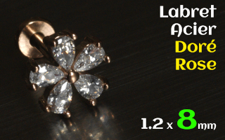 Labret 1.2 x 8 Acier Dore