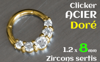 Clicker acier Dore 1.2 x 8 - zircons sertis