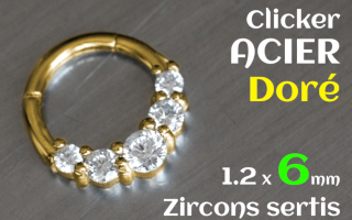 Clicker acier Dore 1.2 x 6 - zircons sertis