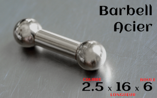 Barbell Acier 2.5(calibre) x 16(long) x 6(boules)