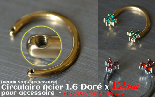 Circulaire 1.6 x 12 - Acier Dore- 2 vissages pour accessoire interne (non livre)