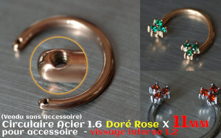 Circulaire 1.6 x 11 - Acier Dore Rose- 2 vissages pour accessoire interne (non livre)