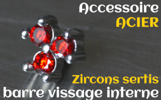 Accessoires Acier - zircon serti ruby - pour vissage interne 1.0 (labret - industriel - teton - circulaire)