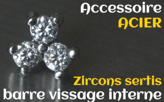 Accessoires Acier - zircon serti cristal - pour vissage interne 1.0 (labret - industriel - teton - circulaire)