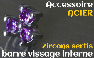 Accessoires Acier - zircon serti amethyste- pour vissage interne 1.0 (labret - industriel - teton - circulaire)
