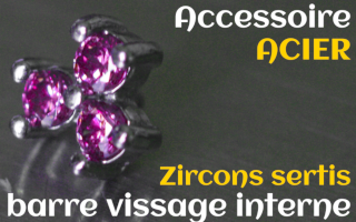 Accessoires Acier - zircon serti rose- pour vissage interne 1.0 (labret - industriel - teton - circulaire)