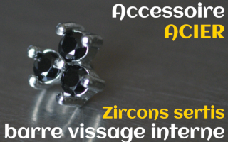 Accessoires Acier - zircon serti noir- pour vissage interne 1.0 (labret - industriel - teton - circulaire)