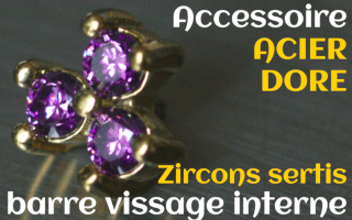 Accessoires Acier Dore - zircon serti amethyste - pour vissage interne 1.0 (labret - industriel - teton - circulaire)