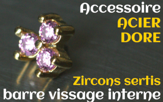 Accessoires Acier Dore - zircon serti rose - pour vissage interne 1.0 (labret - industriel - teton - circulaire)