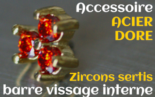 Accessoires Acier Dore - zircon serti ruby - pour vissage interne 1.0 (labret - industriel - teton - circulaire)