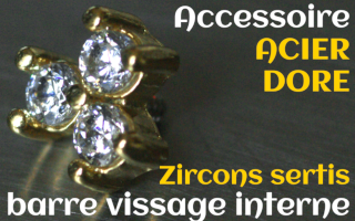 Accessoires Acier Dore - zircon serti cristal - pour vissage interne 1.0 (labret - industriel - teton - circulaire)