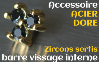 Accessoires Acier Dore - zircon serti noir - pour vissage interne 1.0 (labret - industriel - teton - circulaire)