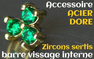 Accessoires Acier Dore - zircon serti emeraude - pour vissage interne 1.0 (labret - industriel - teton - circulaire)