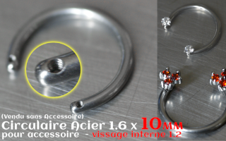 Circulaire 1.6 x 10 - Acier - 2 vissages pour accessoire interne (non livre)