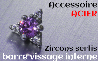 Accessoires Acier - zircon serti amethyste - pour vissage interne 1.0 (labret - industriel - teton - circulaire)