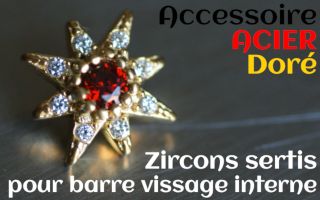 Accessoires Acier dore - zircon serti rouge - pour vissage interne 1.0 (labret - industriel - teton - circulaire)