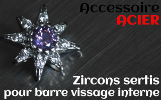 Accessoires Acier - zircon serti amethyste - pour vissage interne 1.0 (labret - industriel - teton - circulaire)
